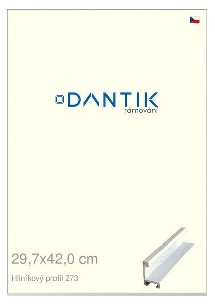 DANTIK rám na obraz 29,7x42 | ALU Bílá matná (Plexi Čiré)