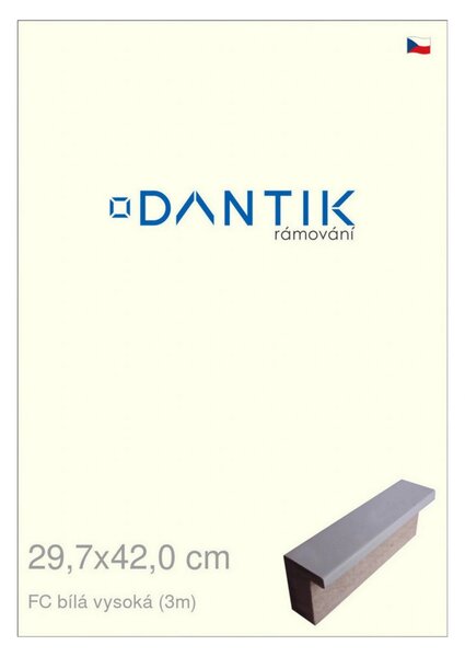 DANTIK rám na obraz 29,7x42 | FC Bílá vysoká (Plexi Čiré)