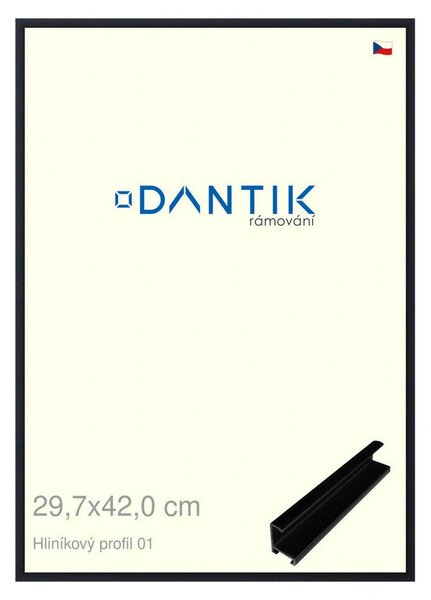 DANTIK rám na obraz 29,7x42 | ALU Černá matná (Plexi Čiré)