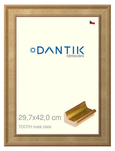 DANTIK rám na obraz 29,7x42 | TOOTH malá zlatá (Plexi Čiré)