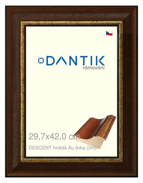 DANTIK rám na obraz 29,7x42 | DESCENT hnědá Au linka (Plexi Čiré)