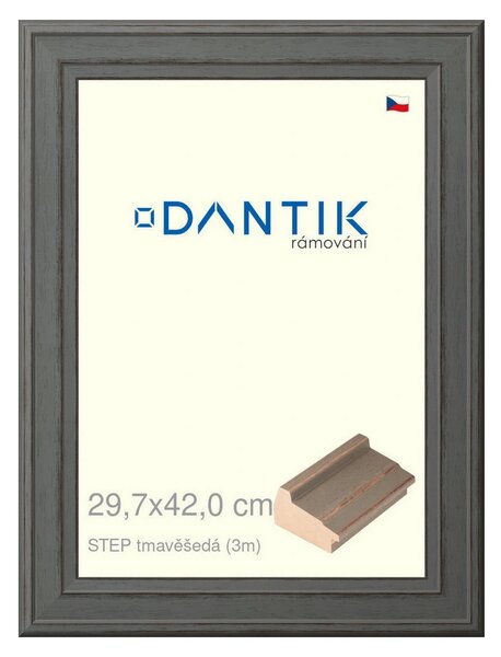 DANTIK rám na obraz 29,7x42 | STEP tmavěšedá (Plexi Čiré)