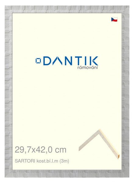 DANTIK rám na obraz 29,7x42 | SARTORI kost.bí.l.m (Plexi Čiré)