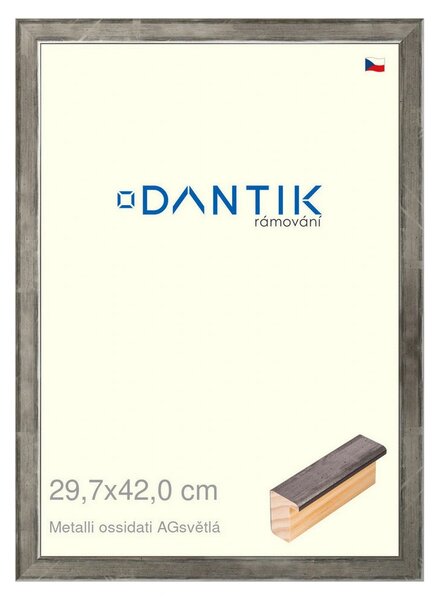 DANTIK rám na obraz 29,7x42 | Metalli oidati AGsvětlá (Plexi Čiré)