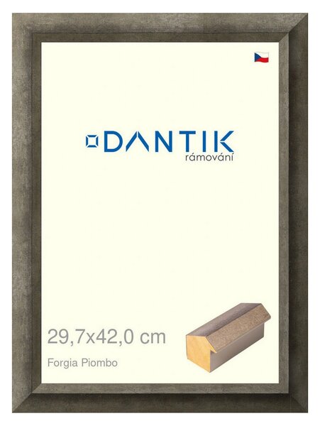 DANTIK rám na obraz 29,7x42 | Forgia Piombo (Plexi Čiré)