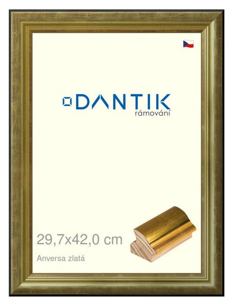 DANTIK rám na obraz 29,7x42 | ANIVERSA zlatá (Plexi Čiré)