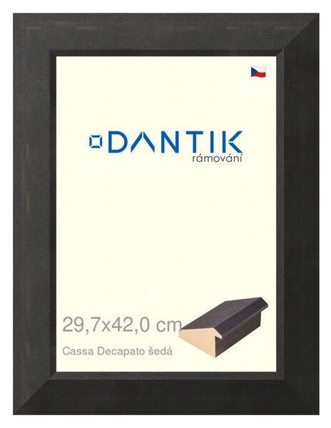 DANTIK rám na obraz 29,7x42 | Caa Decapato černá (Plexi Čiré)