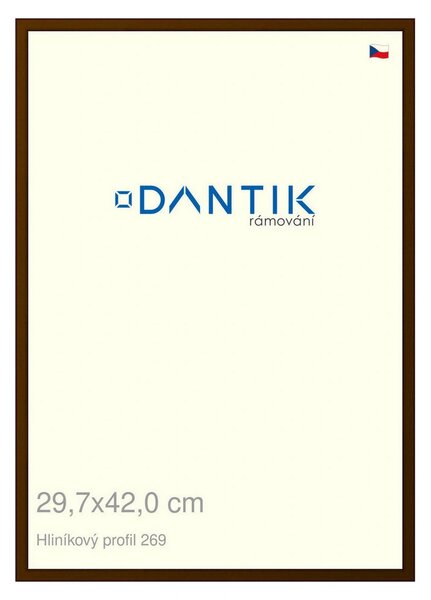 DANTIK rám na obraz 29,7x42 | ALU Hnědá umbra broušená (Plexi Čiré)