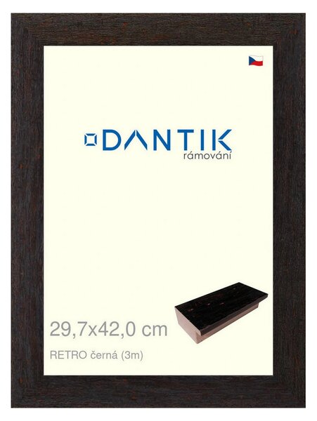 DANTIK rám na obraz 29,7x42 | RETRO černá (Plexi Čiré)