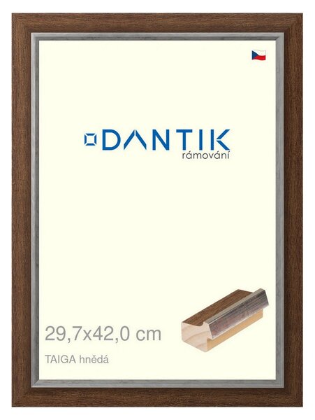 DANTIK rám na obraz 29,7x42 | TAIGA hnědá (Plexi Čiré)