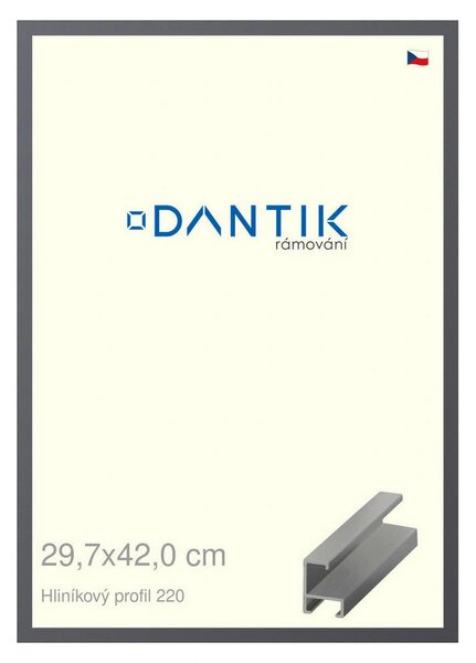 DANTIK rám na obraz 29,7x42 | ALU Ocelová (Plexi Čiré)