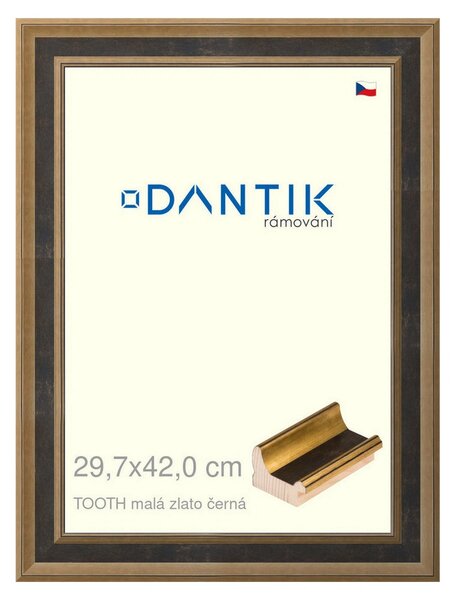 DANTIK rám na obraz 29,7x42 | TOOTH malá zlato černá (Plexi Čiré)