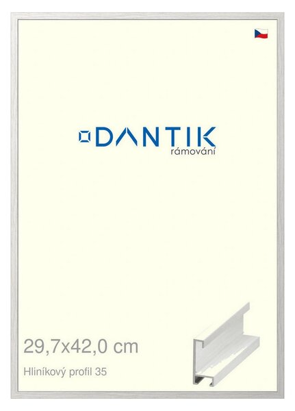 DANTIK rám na obraz 29,7x42 | ALU Dýha bílá (Plexi Čiré)