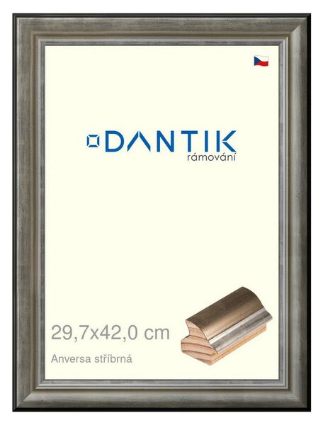 DANTIK rám na obraz 29,7x42 | ANIVERSA stříbrná (Plexi Čiré)