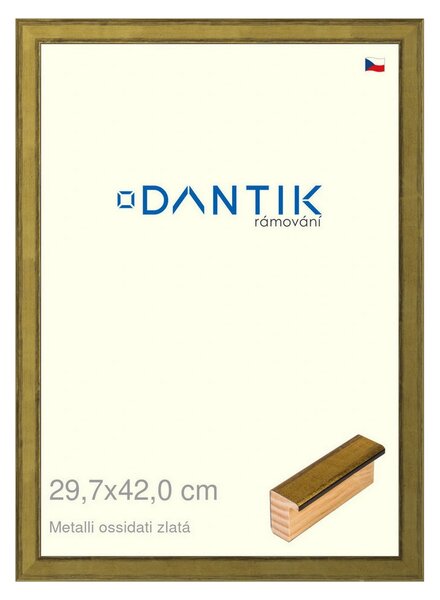 DANTIK rám na obraz 29,7x42 | Metalli oidati zlatá (Plexi Čiré)