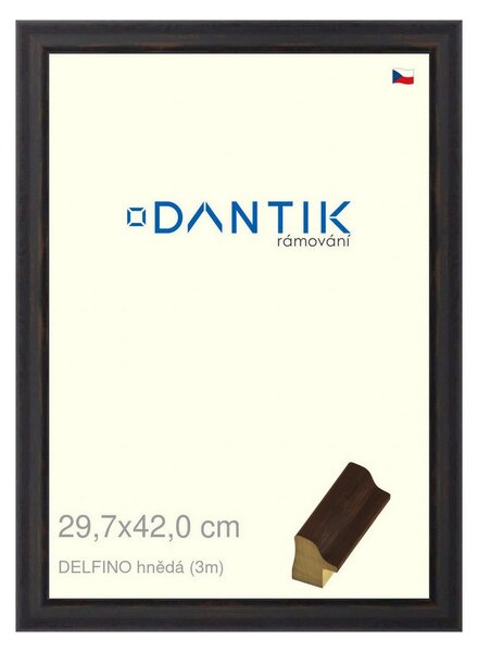 DANTIK rám na obraz 29,7x42 | DELFINO hnědá (Plexi Čiré)
