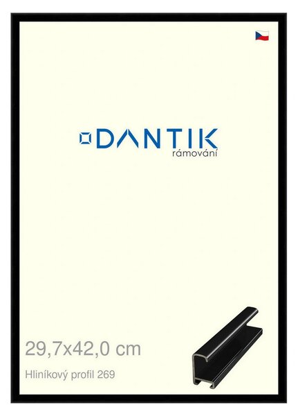 DANTIK rám na obraz 29,7x42 | ALU Černá lesklá (Plexi Čiré)