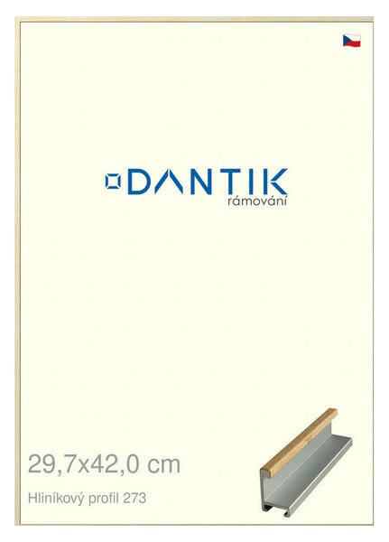 DANTIK rám na obraz 29,7x42 | ALU Dýha javor (Plexi Čiré)