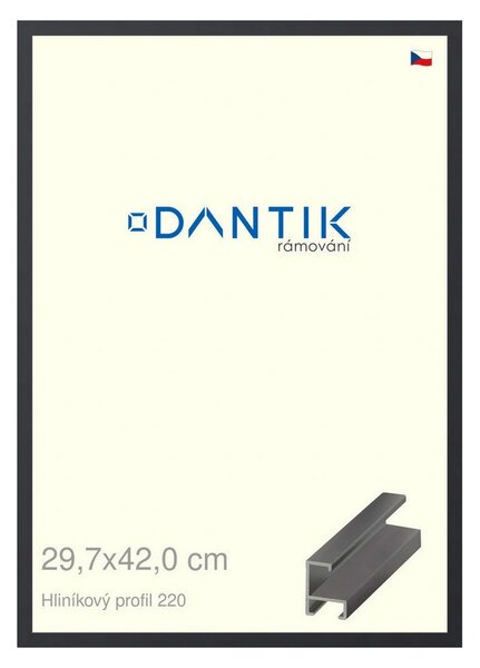 DANTIK rám na obraz 29,7x42 | ALU Černá matná (Plexi Čiré)