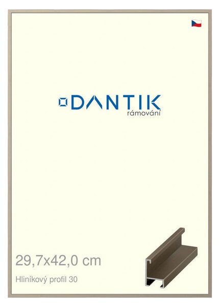 DANTIK rám na obraz 29,7x42 | ALU champagne (Plexi Čiré)