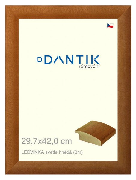 DANTIK rám na obraz 29,7x42 | LEDVINKA světle hnědá (Plexi Čiré)