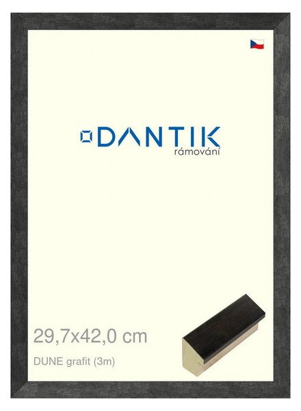 DANTIK rám na obraz 29,7x42 | DUNE grafit (Plexi Čiré)