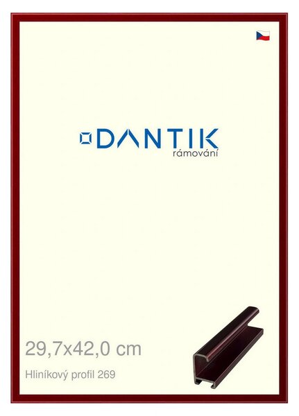 DANTIK rám na obraz 29,7x42 | ALU Červená Rubin broušená (Plexi Čiré)
