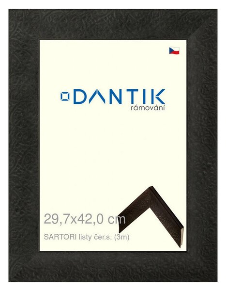 DANTIK rám na obraz 29,7x42 | SARTORI listy čer.s. (Plexi Čiré)