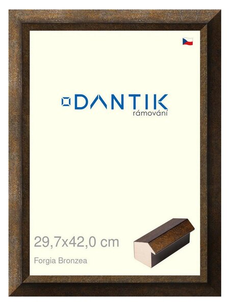 DANTIK rám na obraz 29,7x42 | Forgia Bronzea (Plexi Čiré)