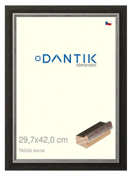 DANTIK rám na obraz 29,7x42 | TAIGA černá (Plexi Čiré)