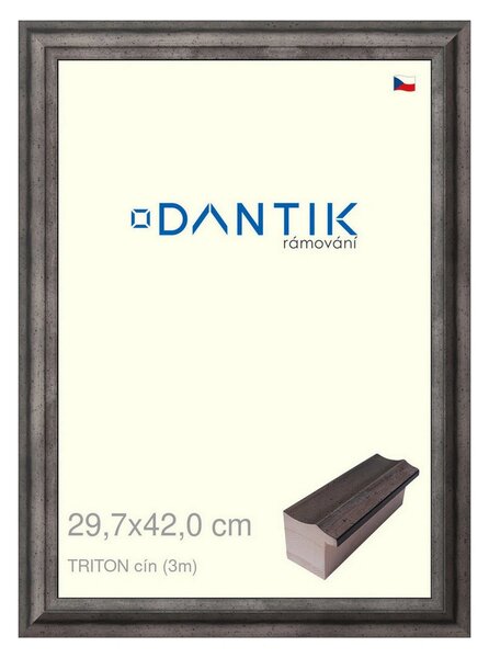 DANTIK rám na obraz 29,7x42 | TRITON cín (Plexi Čiré)