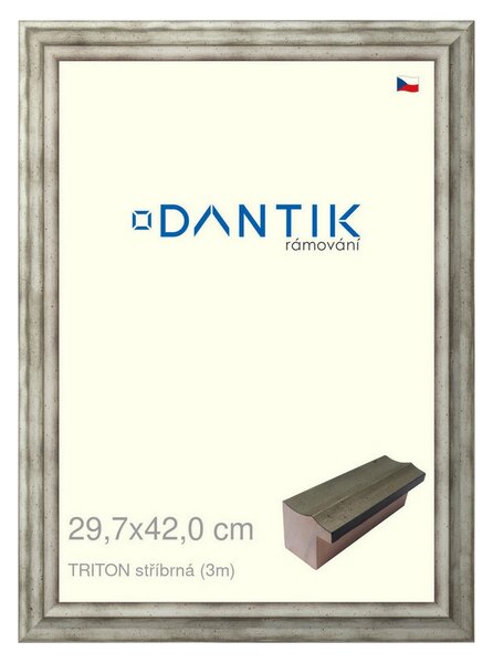 DANTIK rám na obraz 29,7x42 | TRITON stříbrná (Plexi Čiré)