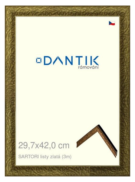 DANTIK rám na obraz 29,7x42 | SARTORI listy zlatá (Plexi Čiré)