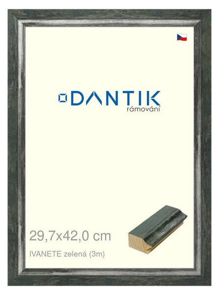 DANTIK rám na obraz 29,7x42 | IVANETE zelená (Plexi Čiré)