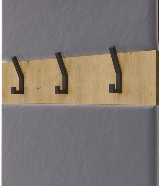 TP Living Předsíňová stěna HAGA 2W 100 cm dub Artisan