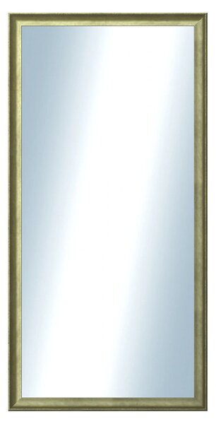 DANTIK - Zrkadlo v rámu, rozmer s rámom 60x120 cm z lišty Ferrosa zlatá (3142)