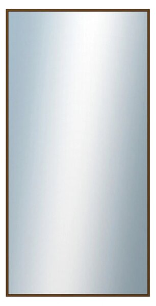 DANTIK - Zrkadlo v rámu, rozmer s rámom 60x120 cm z lišty Hliník hnedá (7269211)