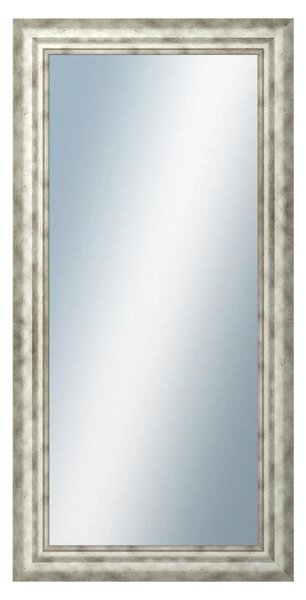 DANTIK - Zrkadlo v rámu, rozmer s rámom 50x100 cm z lišty TRITON široký strieborný (2950)