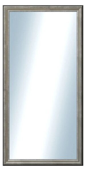DANTIK - Zrkadlo v rámu, rozmer s rámom 50x100 cm z lišty Anversa strieborná (3152)