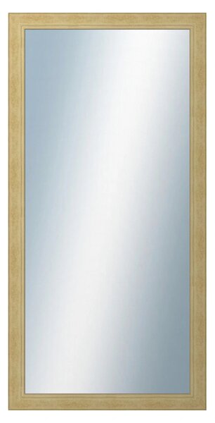 DANTIK - Zrkadlo v rámu, rozmer s rámom 50x100 cm z lišty ANDRÉ veľká starostrieborná (3156)