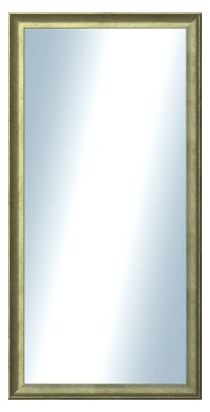 DANTIK - Zrkadlo v rámu, rozmer s rámom 50x100 cm z lišty Ferrosa zlatá (3142)