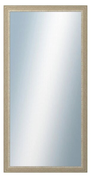 DANTIK - Zrkadlo v rámu, rozmer s rámom 50x100 cm z lišty LYON strieborná (2704)