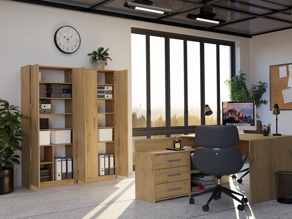 TP Living Kancelárska knižnica OLIV 2D dub Artisan