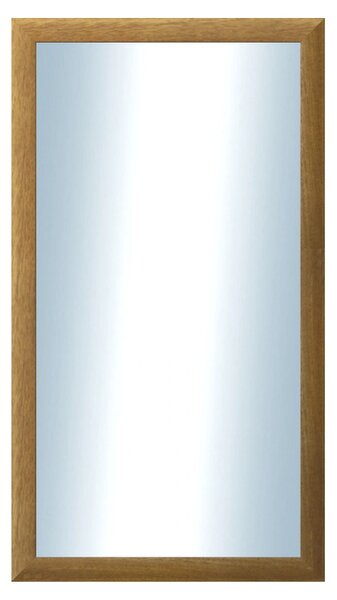 DANTIK - Zrkadlo v rámu, rozmer s rámom 50x90 cm z lišty LEDVINKA hnedá (1441)