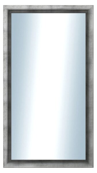 DANTIK - Zrkadlo v rámu, rozmer s rámom 50x90 cm z lišty Eternity AG ľadvinka (3097)