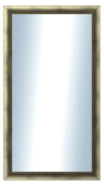 DANTIK - Zrkadlo v rámu, rozmer s rámom 50x90 cm z lišty Eternity Au ľadvinka (3098)