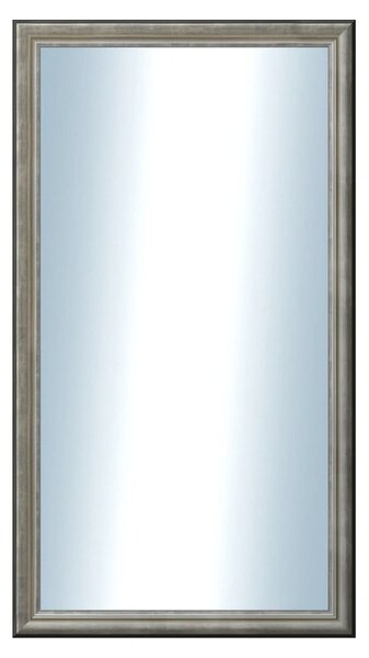 DANTIK - Zrkadlo v rámu, rozmer s rámom 50x90 cm z lišty Anversa strieborná (3152)