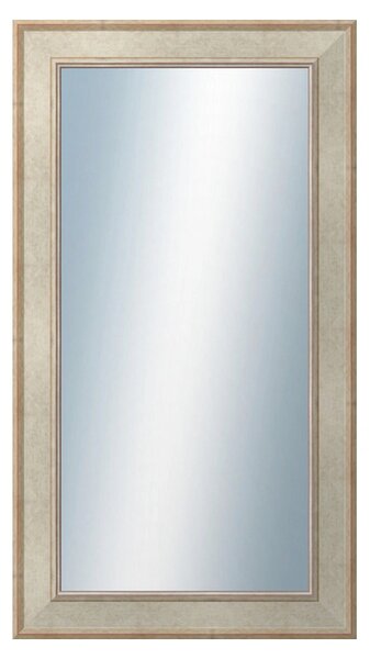 DANTIK - Zrkadlo v rámu, rozmer s rámom 50x90 cm z lišty TOOTH strieborná (2779)