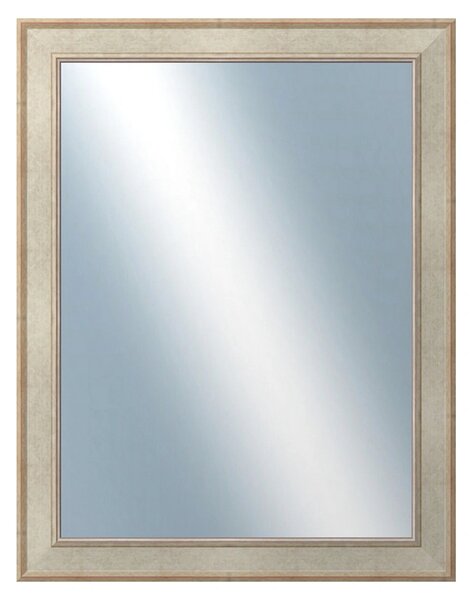 DANTIK - Zrkadlo v rámu, rozmer s rámom 70x90 cm z lišty TOOTH strieborná (2779)