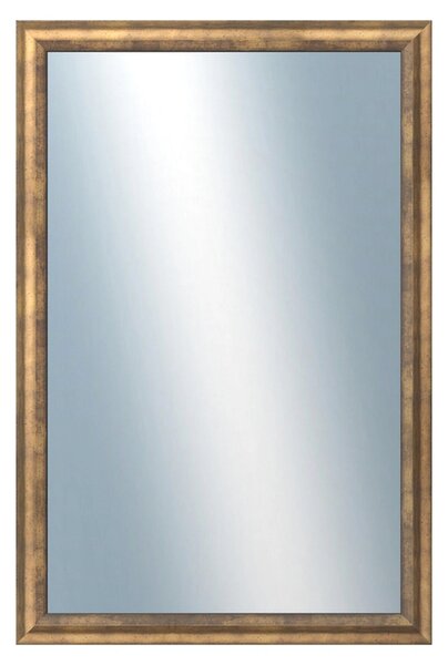 DANTIK - Zrkadlo v rámu, rozmer s rámom 40x60 cm z lišty TRITON zlatá (2142)